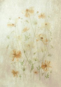  da Fangping Zhou