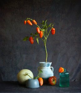 Pomodori arancioni: natura morta rustica