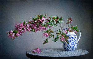  da Fangping Zhou