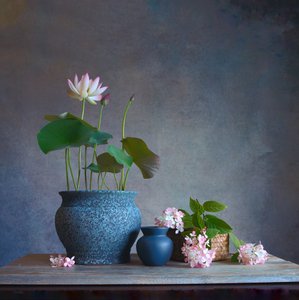  da Fangping Zhou