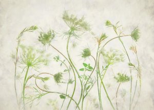  da Fangping Zhou