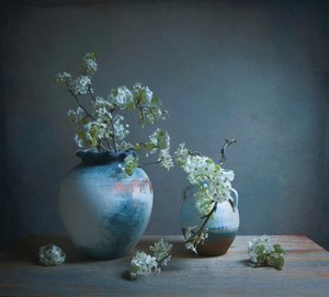  da Fangping Zhou