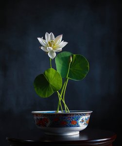  da Fangping Zhou