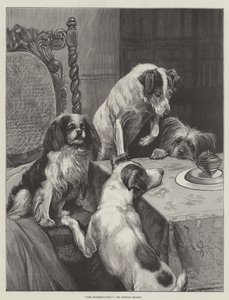 La trottola da Fannie Moody