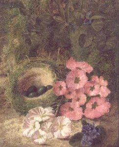 Primavera (nido con rose canine)