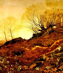 Su Leith Hill, Surrey