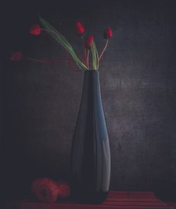 Eleganti tulipani rossi da Farid Kazamil