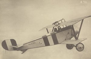 [Profilo di un Nieuport 17 (aereo) in volo]. da Fedele Azari