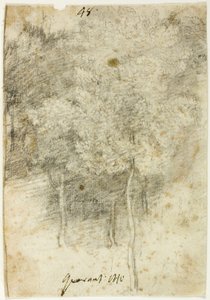 Boschetto di alberi da Federico Barocci