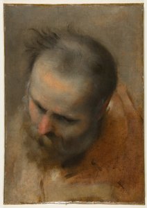 Testa di uomo barbuto che guarda in basso a sinistra (Nicodemo) da Federico Barocci