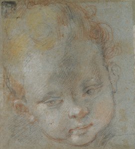 Testa di un bambino, fine XVI secolo