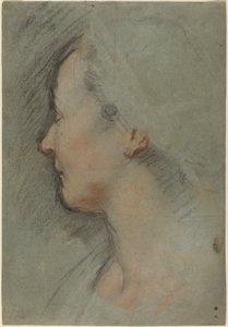 Testa di Donna da Federico Barocci