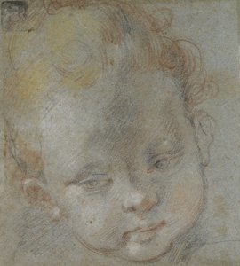 Recto: Testa di un Bambino