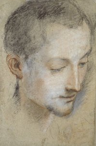 Studio della testa di un giovane uomo da Federico Barocci