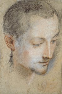 Studio della testa di un giovane uomo, fine XVI secolo