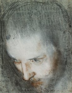 Testa di San Francesco che Guarda in Alto a Sinistra da Federico Fiori Barocci or Baroccio