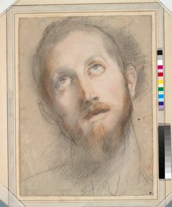 Studio per la testa di Cristo da Federico Fiori Barocci or Baroccio