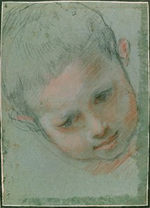 La testa di un ragazzo, c.1586-89 da Federico Fiori Barocci or Baroccio