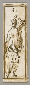 Disegno