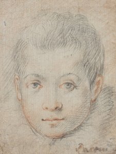  da Federico Zuccaro