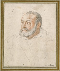 Ritratto di un uomo da Federico Zuccaro