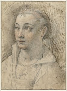 Ritratto di donna sconosciuta da Federico Zuccaro