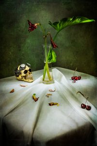 Teschio gotico Vanitas
