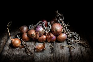 Cipolle rustiche e catena