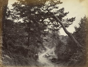 Vista sulla strada di Tokaido