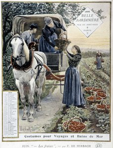 Raccolta di fragole - di Myrbach, Calendario 