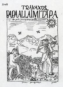 Il mese di giugno, raccolta delle patate da Felipe Huaman Poma de Ayala