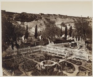 Jardin De Gethseman n. 303 da Félix Bonfils
