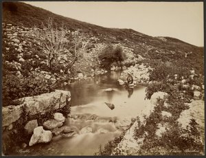 La fonte di Eliseo, Palestina da Félix Bonfils