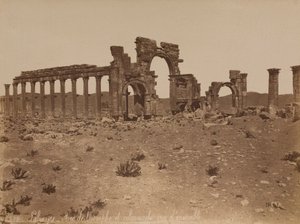 Palmira: veduta generale dell