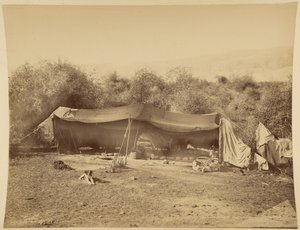 Tenda di beduini nomadi, Palestina da Félix Bonfils