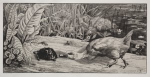 Uno sconosciuto da Felix Bracquemond