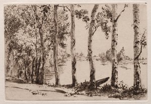 Pioppi sulla riva della Senna da Felix Bracquemond