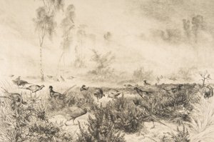 Nebbie del mattino, 1882