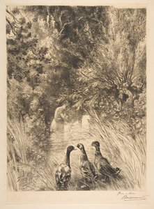 Anatre sorprese da Felix Bracquemond