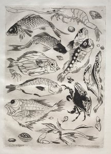 Servizio da tavola (servizio Rousseau): Pesci (n. 24) da Felix Bracquemond