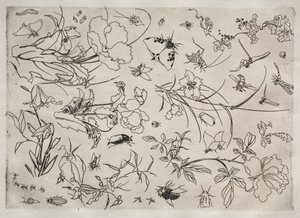 Servizio da tavola (servizio Rousseau): Fiori e insetti (n. 15) da Felix Bracquemond