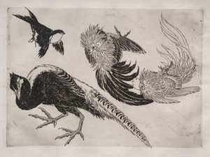 Servizio da tavola (servizio Rousseau): Fagiani e uccello (n. 18) da Felix Bracquemond