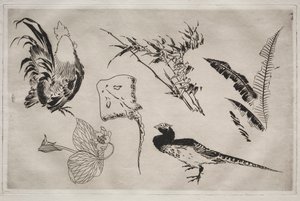 Servizio da tavola (servizio Rousseau): Galli, razza, piante, ecc. (n. 9) da Felix Bracquemond