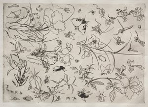 Servizio da tavola Rousseau: Fiori e insetti n. 15 da Felix Bracquemond