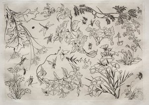 Servizio da tavola Rousseau: Fiori n. 22, 1866 da Felix Bracquemond