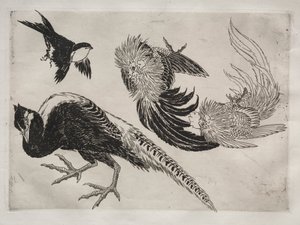 Servizio da tavola Rousseau: fagiani e uccello n. 18 da Felix Bracquemond