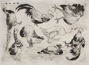 Servizio da tavola Rousseau: Galli, anatre, ecc. n. 13, 1866 da Felix Bracquemond