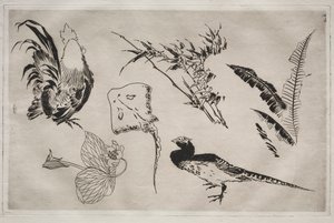 Servizio da tavola Rousseau: Galli, razze, piante, ecc. n. 9, 1866 da Felix Bracquemond