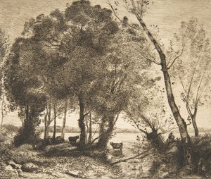 Il lago da Felix Bracquemond