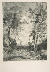 Il cavallo bianco da Felix Bracquemond